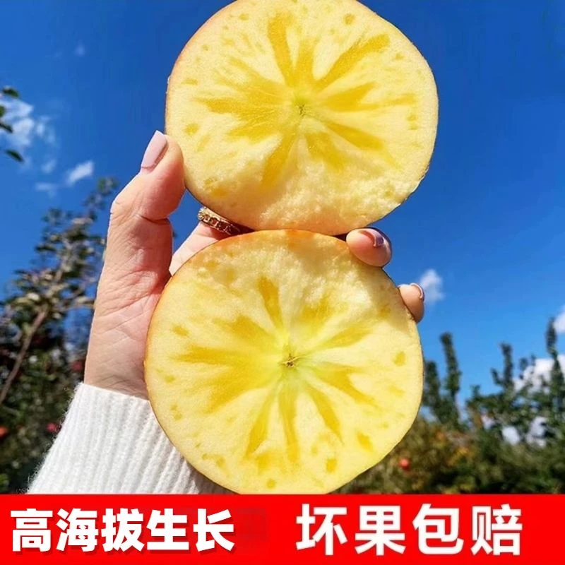 大凉山丑苹果冰糖心新鲜水果当季整箱3/8斤装 包邮四川盐源丑苹果
