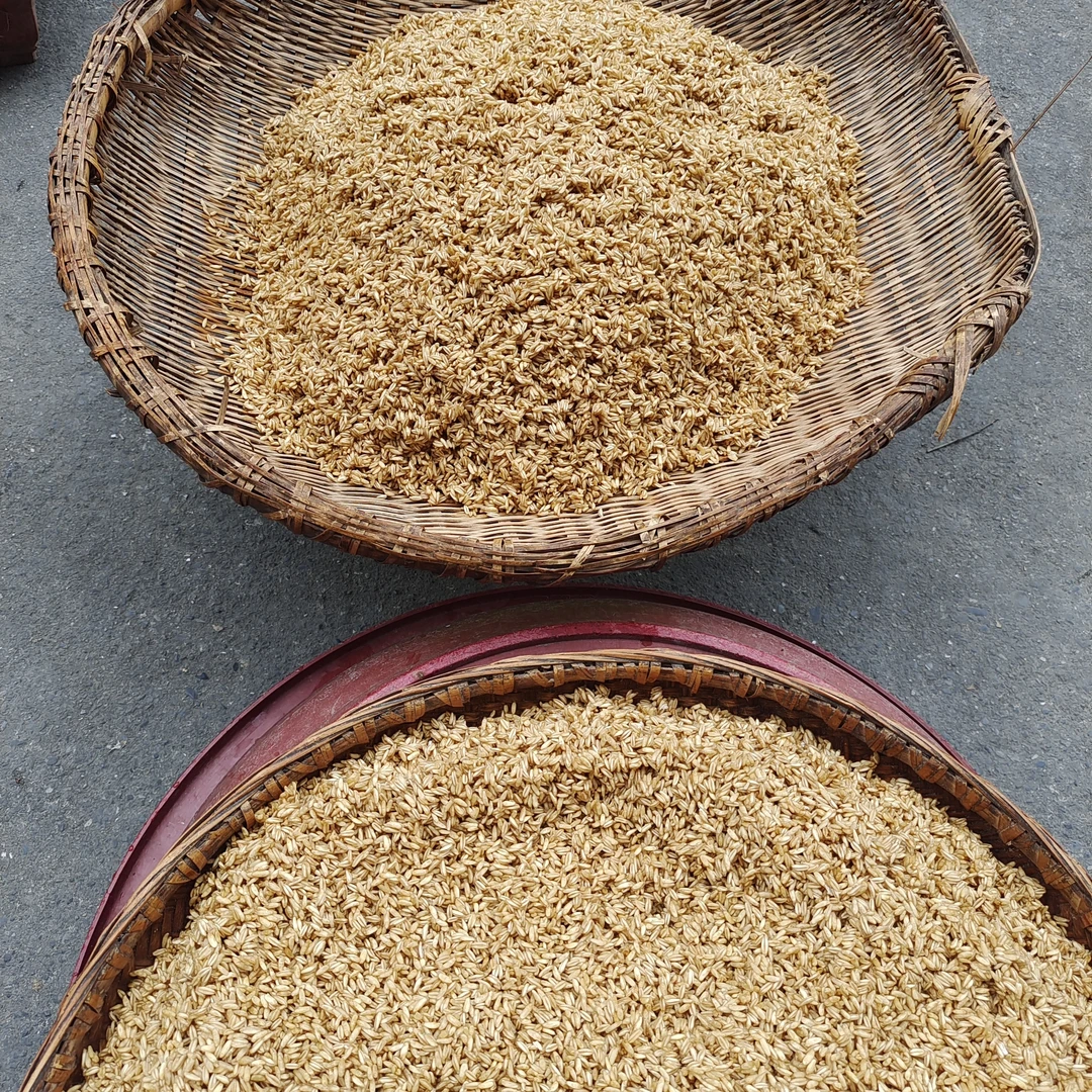 岚皋山区纯手工炒制燕麦粉