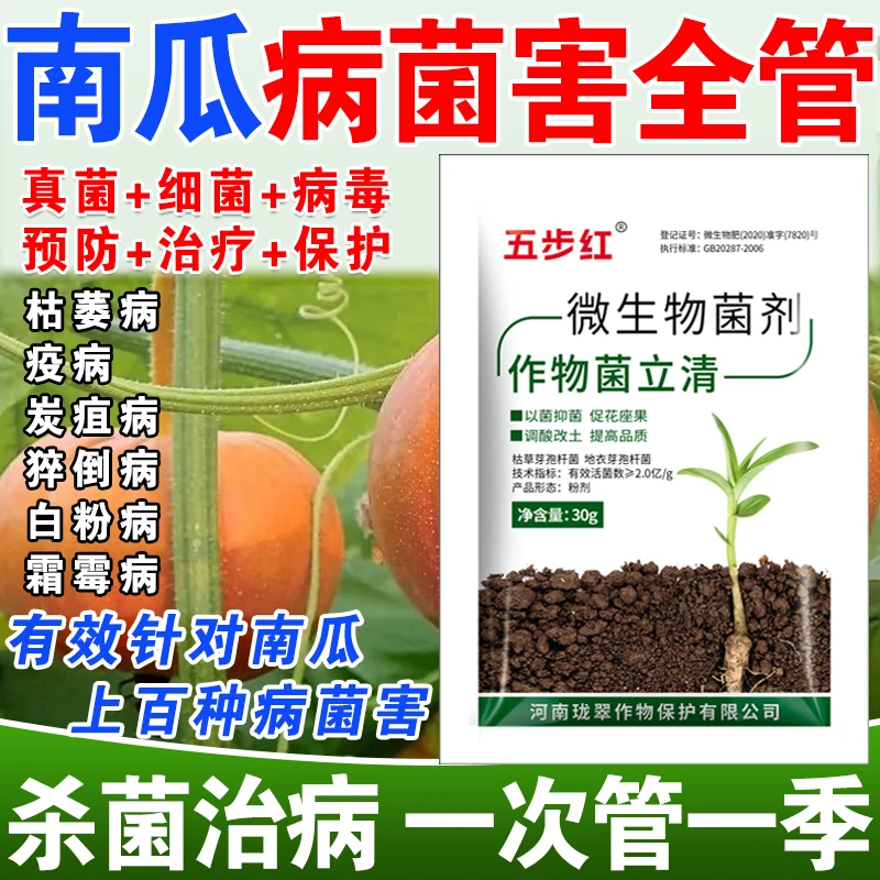 南瓜病全治南瓜专用药南瓜微生物菌剂南瓜病菌清杀菌疫病炭疽猝倒
