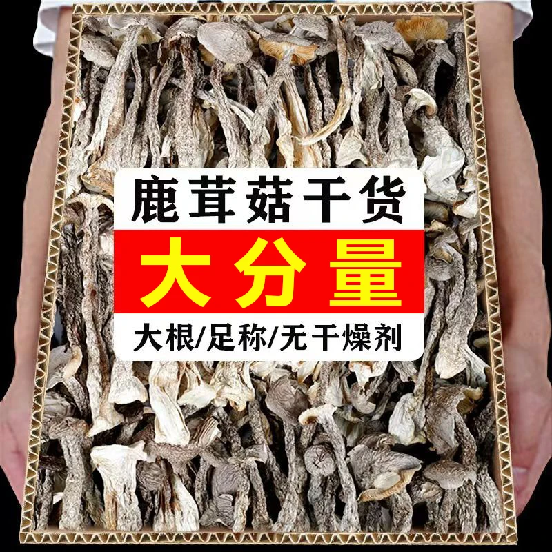 【净重发货】250g鹿茸菇干货脆脆菇古田特产鹿茸菌批发煲汤