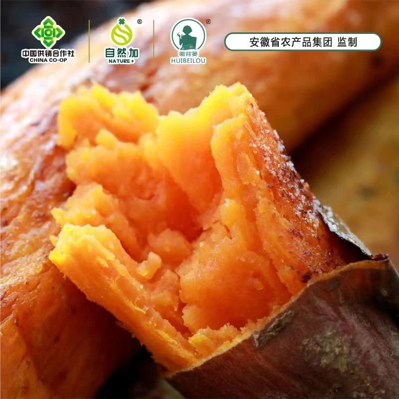 正宗西瓜红蜜薯新鲜软糯香甜皮薄无丝好吃健康10斤包邮产地直发