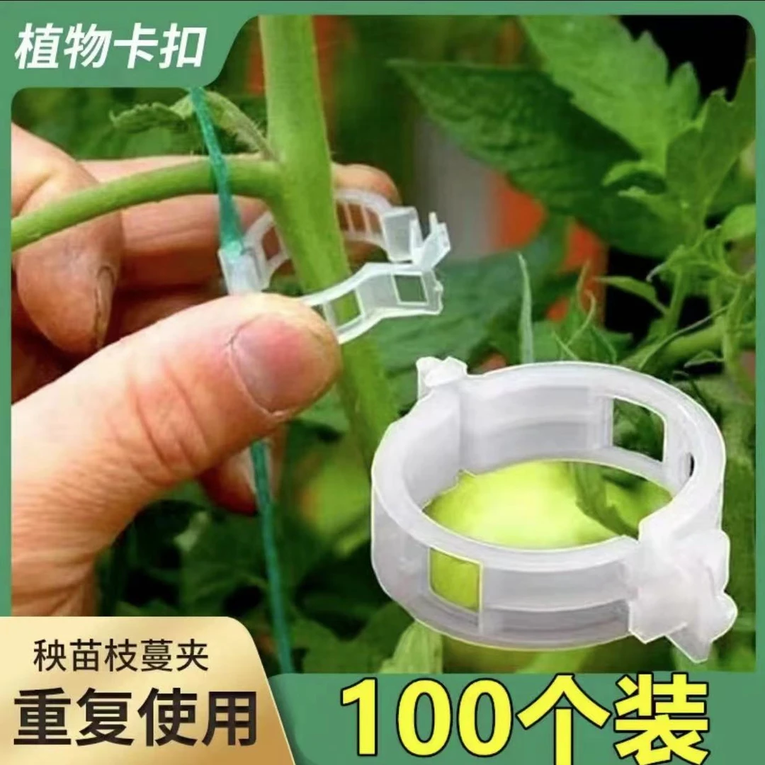 【直销200个】果树绿植固定卡扣捆扎绑蔓夹番茄环扣吊放器