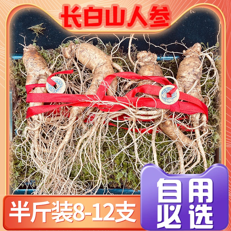 【中号】正宗长白山鲜参煲汤泡酒专用新鲜人参顺丰包邮