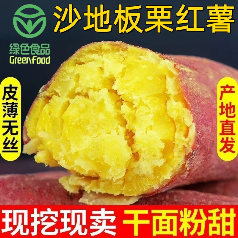 【绿色食品认证】精品中大果5斤高山沙地新鲜板栗红薯健康粗粮代餐