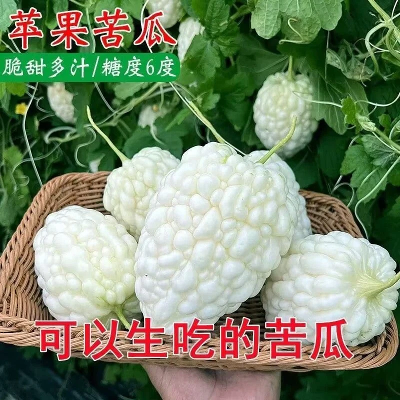 (新客立减)四季播种苹果苦瓜种子蔬果生吃不苦甘甜水果苦瓜种籽白