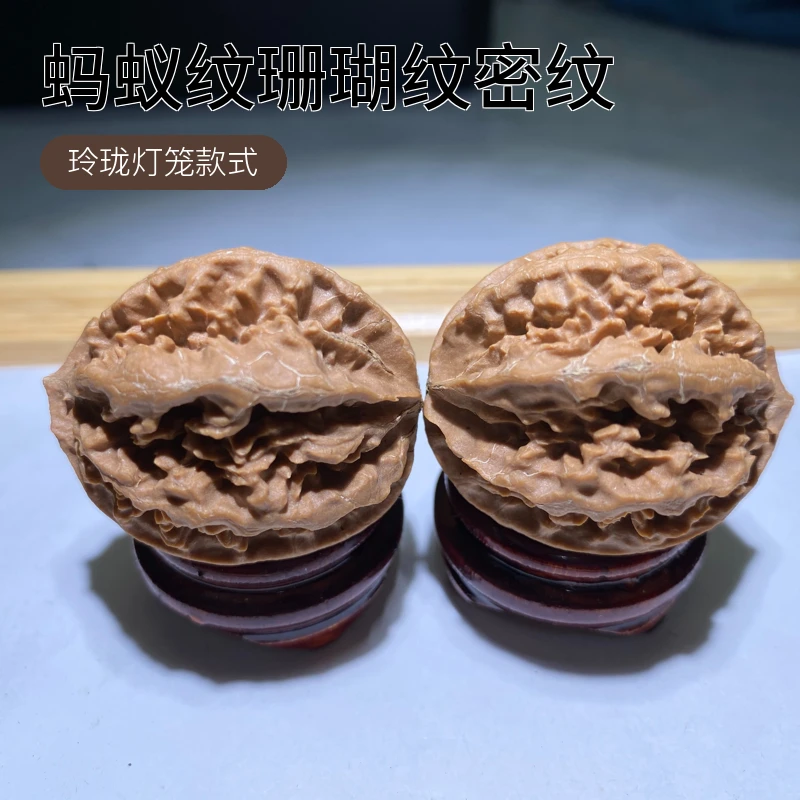 玲珑灯笼红皮易红上手快矮桩珊瑚问龙骨纹灯笼东北野生秋子核桃