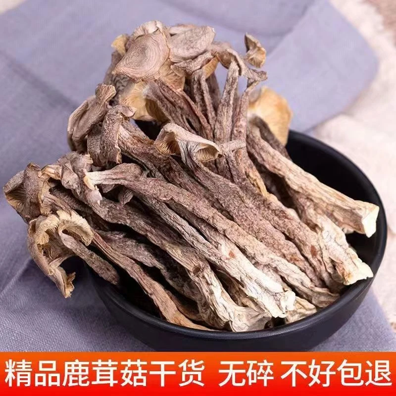 高山菇鹿茸菇鹿茸菌干货无硫菌煲汤炒菜鲜美食材
