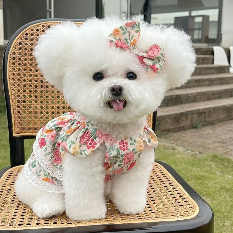 宠物衣服夏季新款碎花吊带公主裙泰迪比熊狗狗猫咪薄款牵引扣衣服