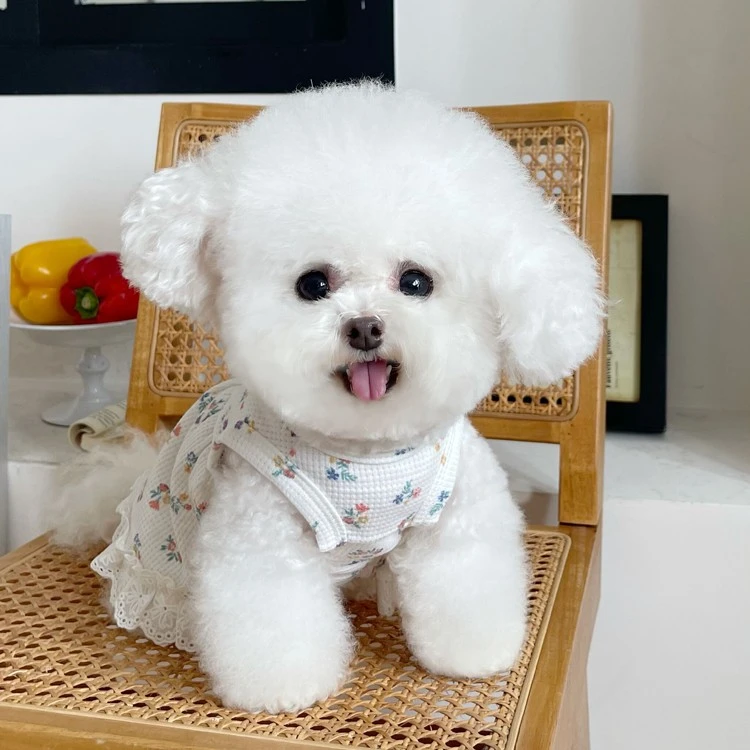 宠物衣服华夫格弹力碎花蕾丝花边裙子泰迪比熊狗狗猫咪公主裙衣服