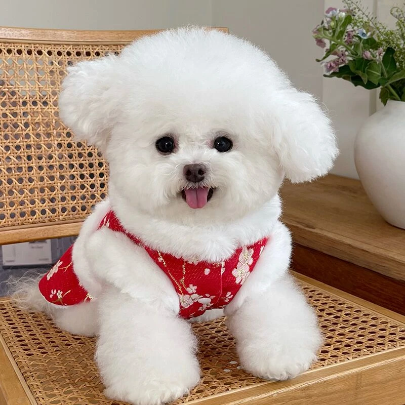 宠物衣服秋冬新款加绒新年服唐装裙子泰迪比熊狗狗猫咪过年拜年服