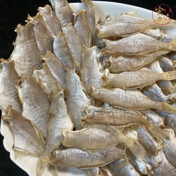 潮汕迪仔雨脯干【鸡哥福利鱼胶】