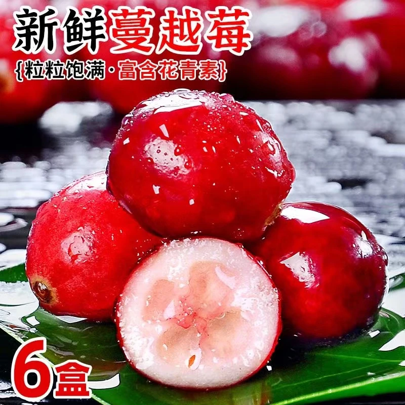 新鲜黑龙江蔓越莓黑龙江现发2-12盒口感清甜蔓越莓水果整箱包邮
