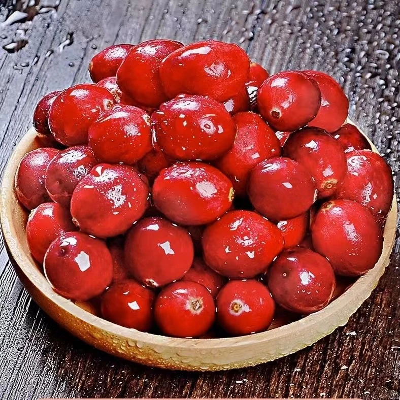 黑龙江蔓越莓现货现发2-12盒新鲜原味熟透应季水果蔓越莓整箱包邮