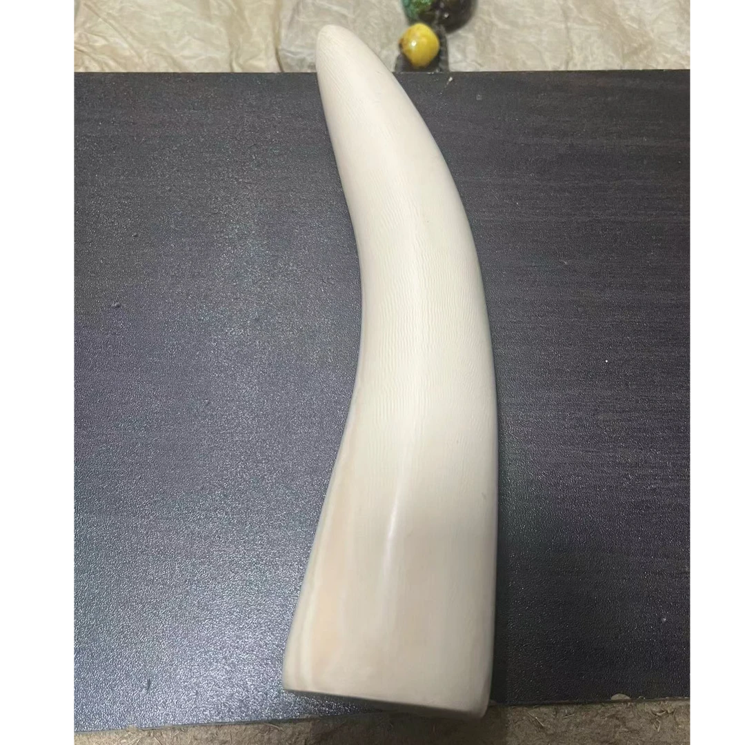 【商品链接】猛犸牙摆件