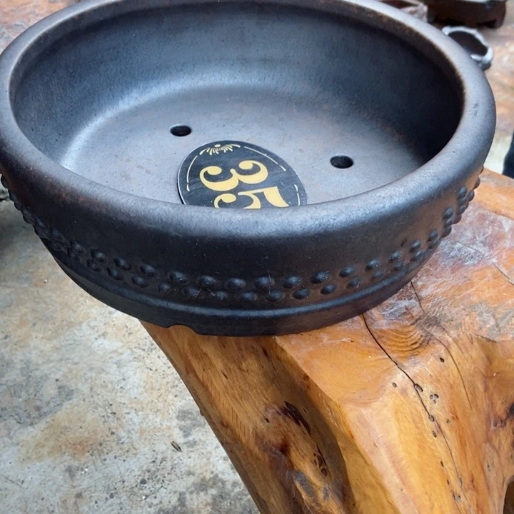 红陶20CM（含）-50CM（不含）云**清