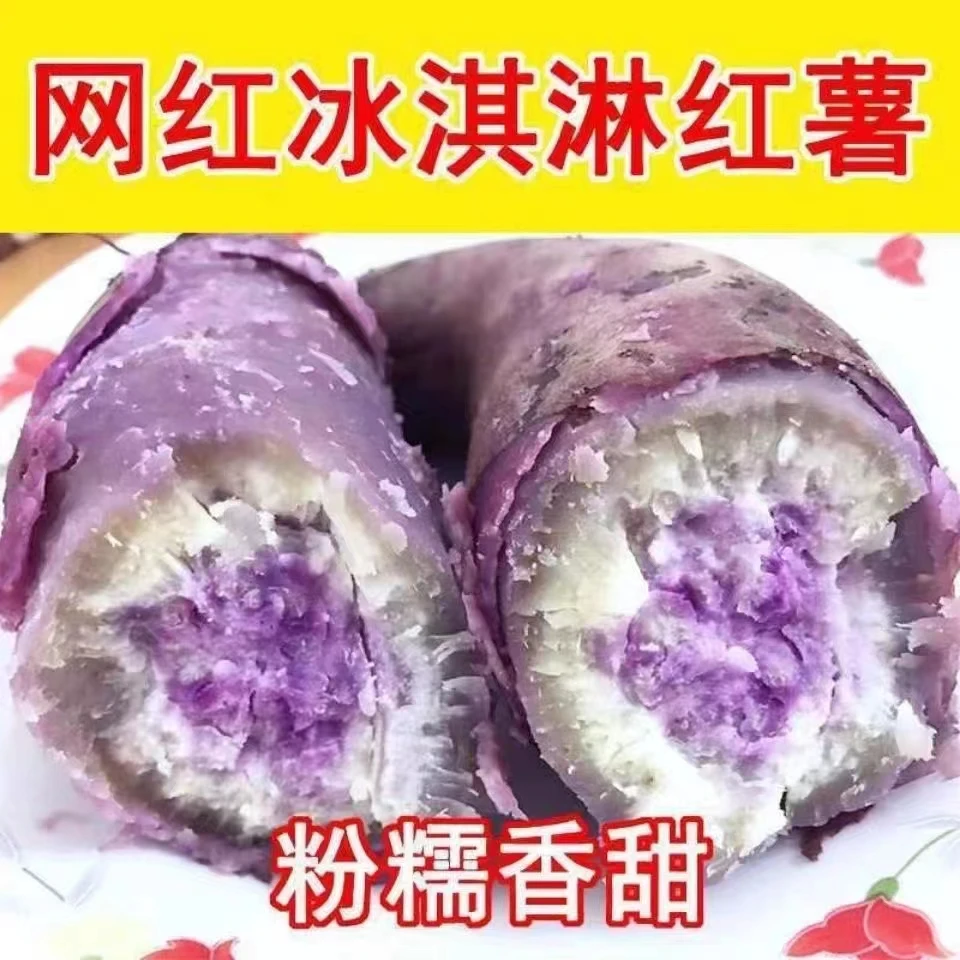冰淇淋番薯新鲜现挖广东沙地一点红薯农家自种中果1/3/5/9农产品