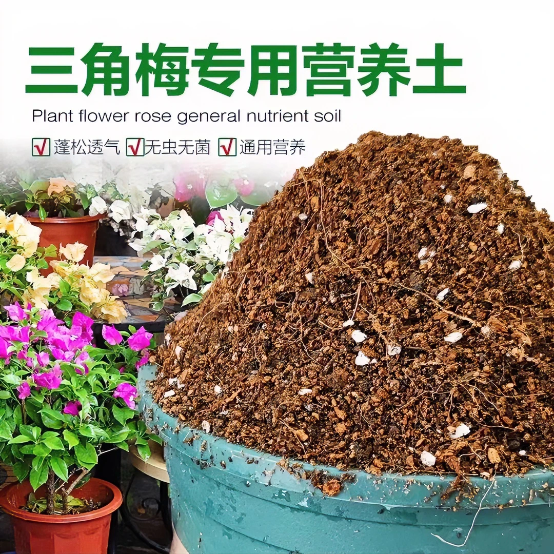 《营养土》三角梅四季勤花专用营养土5.5斤装三角梅花通用开花植物1
