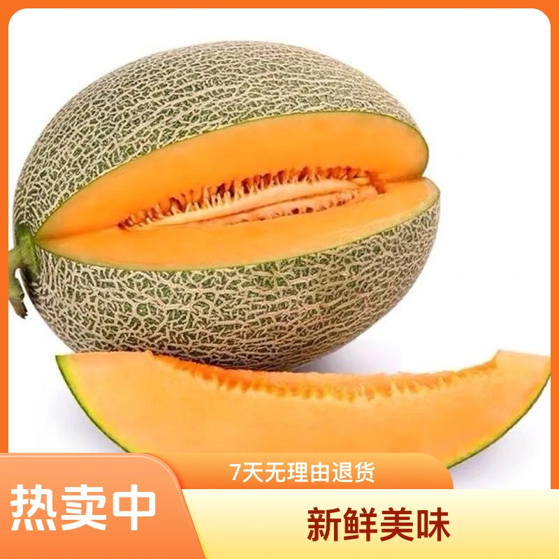 香享农【坏果包赔】海南哈密瓜甜爆汁新鲜肉厚皮薄果香多汁 3-9斤装