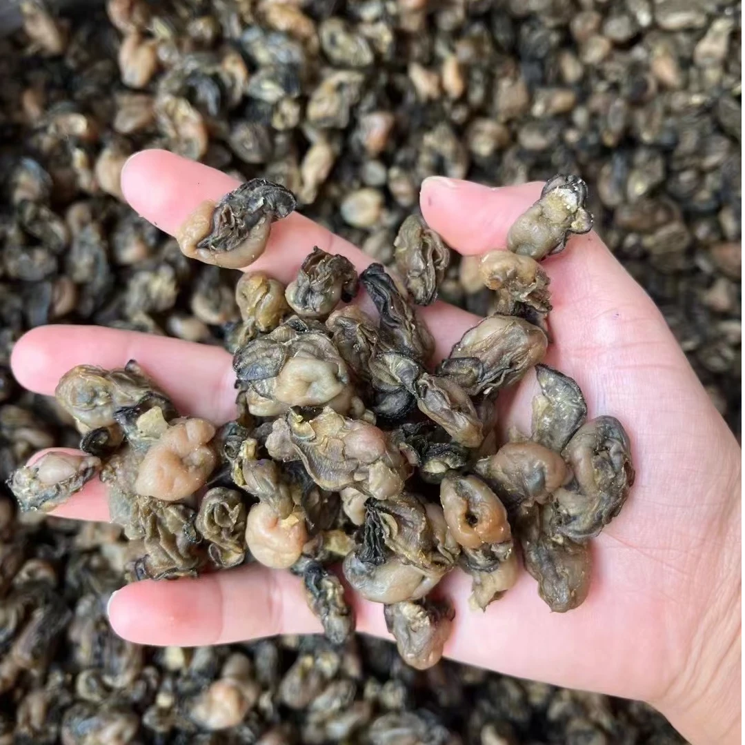 福建特产小海蛎干干货土特产杜蛎干石蛎子蚝鼓蚝干煲汤粥卤面提鲜