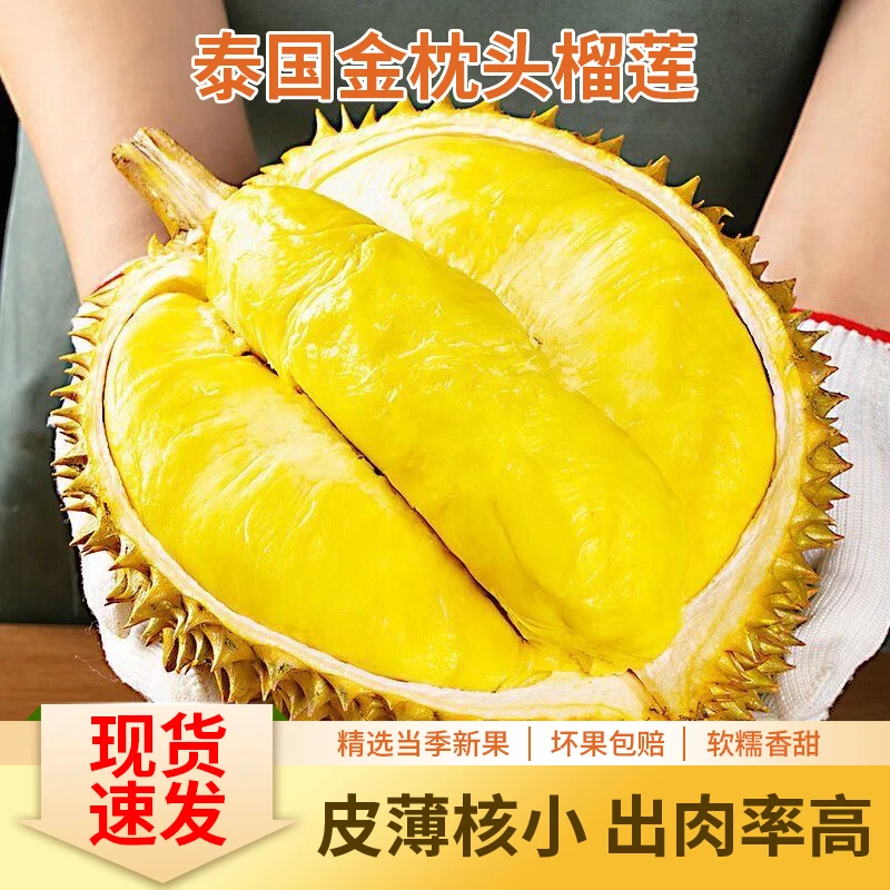 12号【热带果农小时达】泰国金枕榴莲 直播开果(保35%出肉率保4房 尾季果肉偏白)