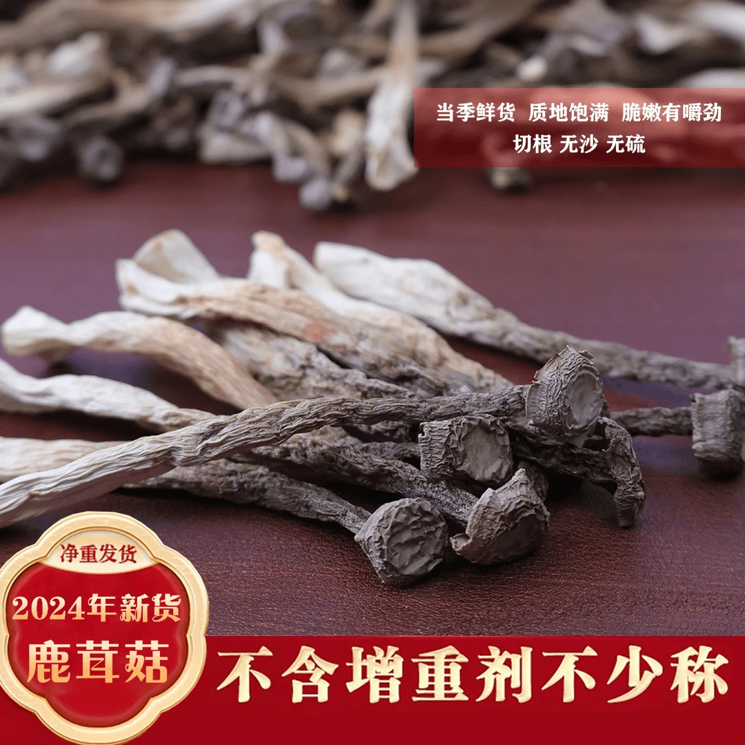 【高山鹿茸菇】无硫干货菌菇炒菜炖煲鸡汤鲜美炒肉营养美味炖汤鲜香