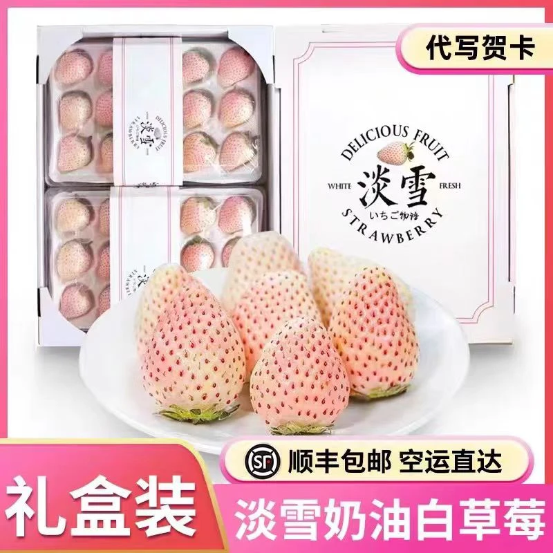 顺丰包邮白雪公主淡雪白草莓奶油草莓现摘现发新鲜时令水果礼盒装