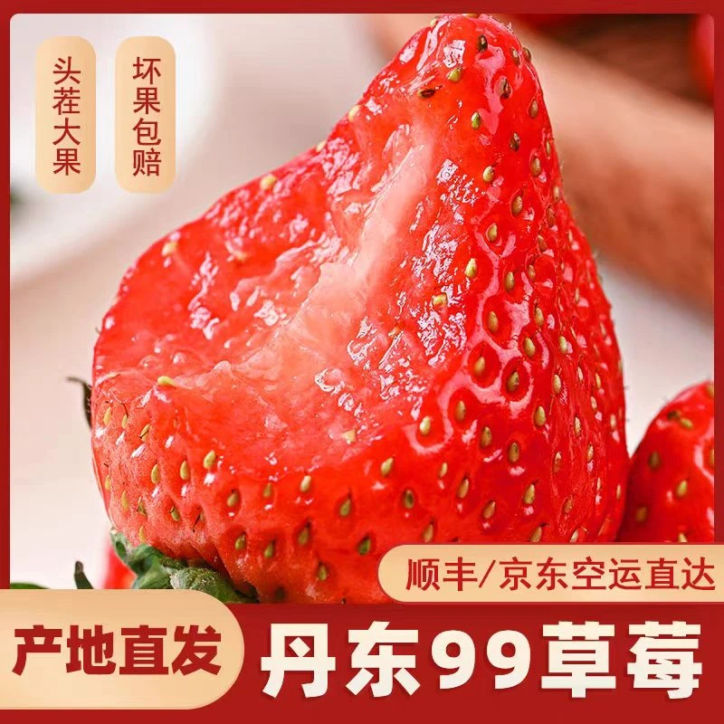 【顺丰包邮】丹东99草莓新鲜红颜奶油九九甜草莓礼盒新鲜孕妇水果