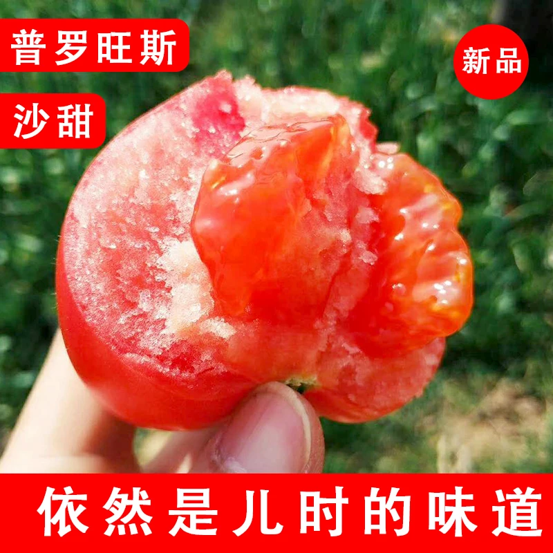 陕西普罗旺斯水果西红柿4.5斤装蔬菜番茄沙瓤