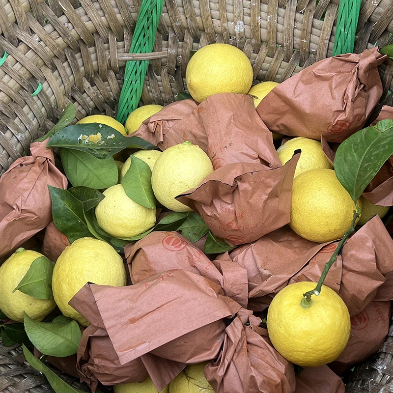 重庆万州尤力克柠檬净重5斤装酸水果新鲜现摘有籽产地直发农产品