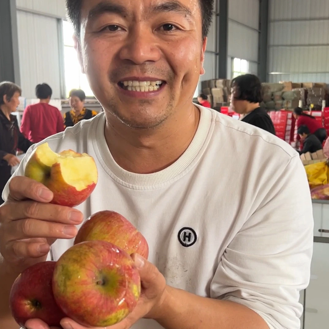 甘肃大漠冰糖心丑苹果5斤8.5斤装高山种植不打蜡带皮吃