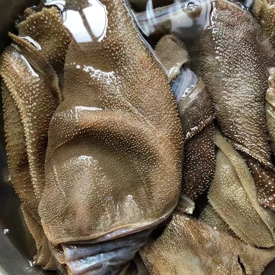 【毛肚】一斤装 （需求大可叠加份数）