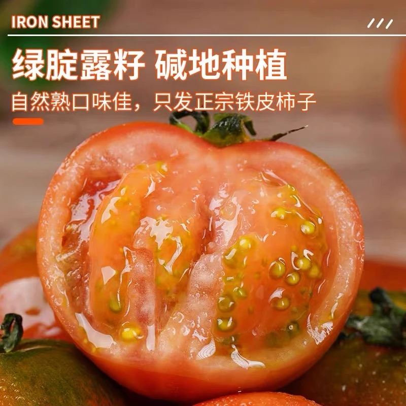 东北特产铁皮草莓柿子碱地新鲜水果应季时令绿腚西红柿即食番茄