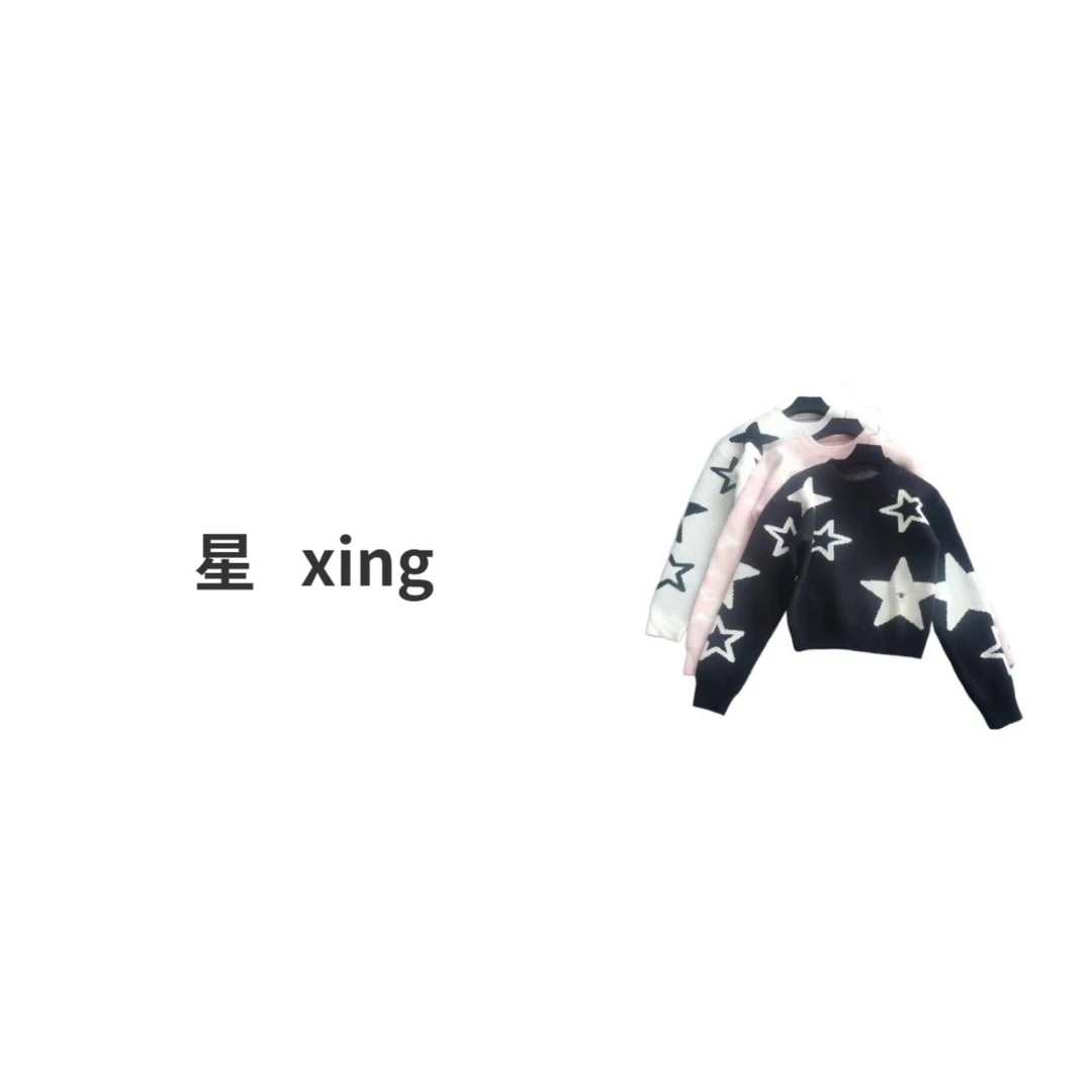 秋冬新款长袖圆领套头针织衫9055