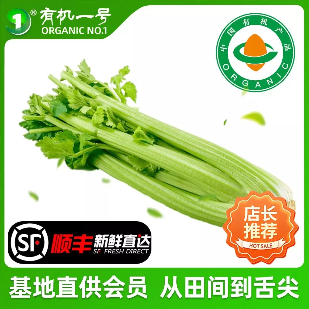 山西有机西芹现摘无农残生长汁生食凉拌炒菜即食食用现摘农场顺丰