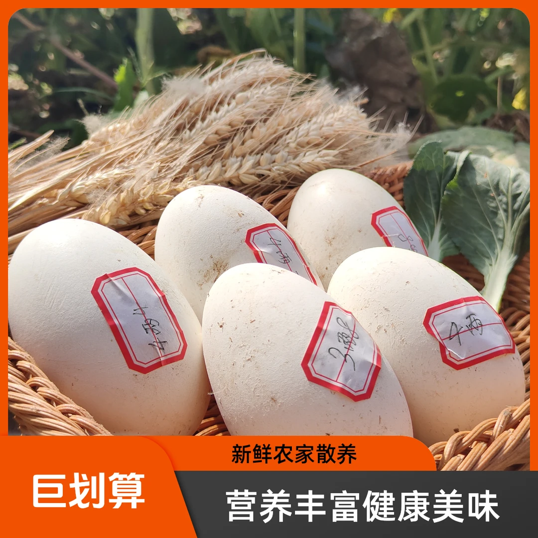 农家散养新鲜鹅蛋双黄蛋大个营养丰富适合孕妇食用