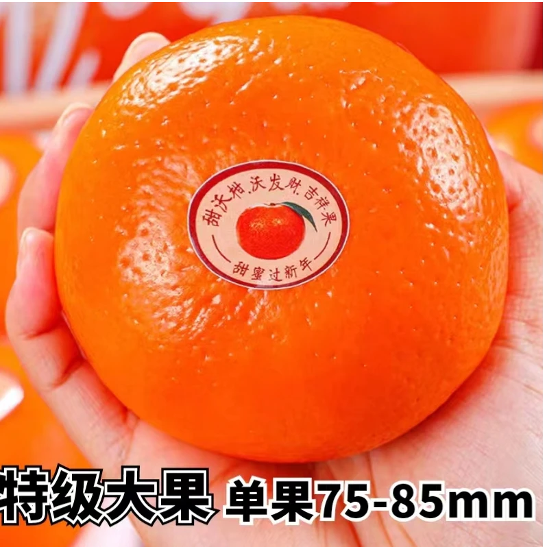 特大果沃柑当季新鲜应季水果柑橘子皮薄多汁整箱5斤/8.5斤