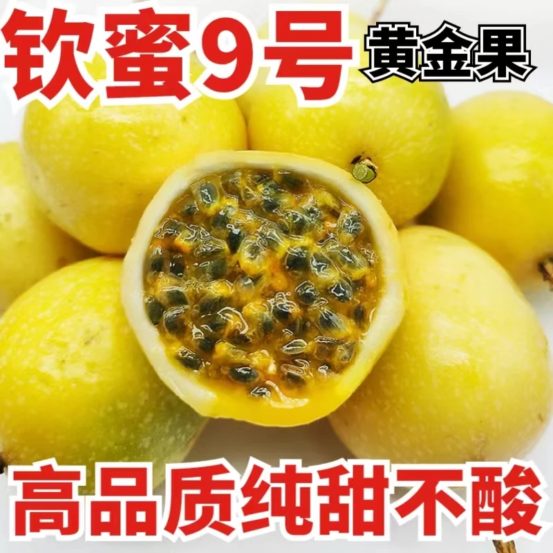 钦蜜9号百香果黄金果鸡蛋果当季新鲜水果