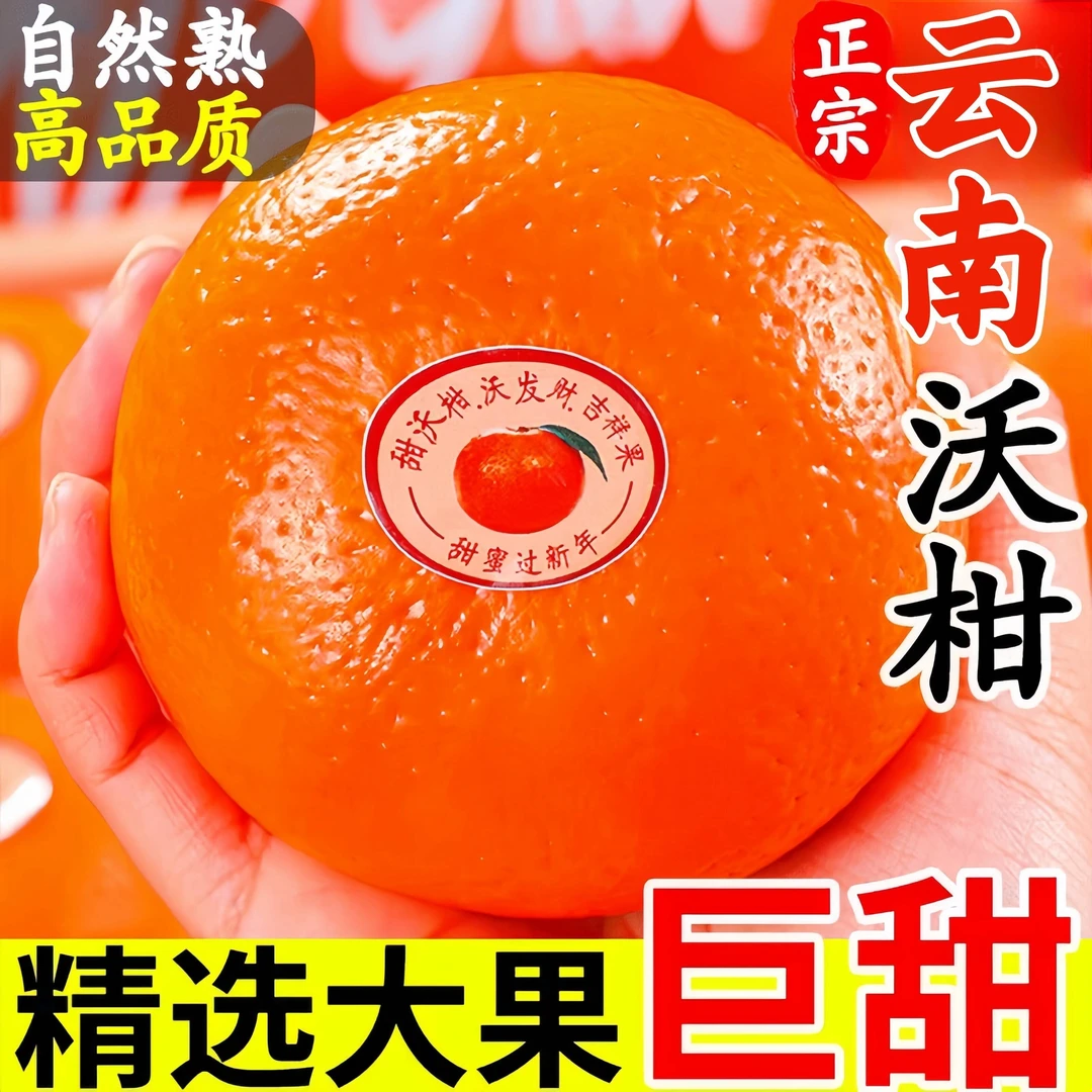 正宗高山云南沃柑超甜多汁皮薄新鲜现摘应季水果柑橘蜜桔爽口甄选