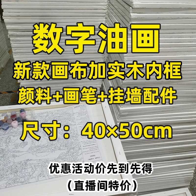 1-200号DIY数字油画40*50直播间特价