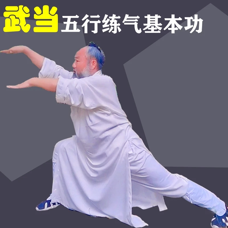 武当传统武术五行系统教学
