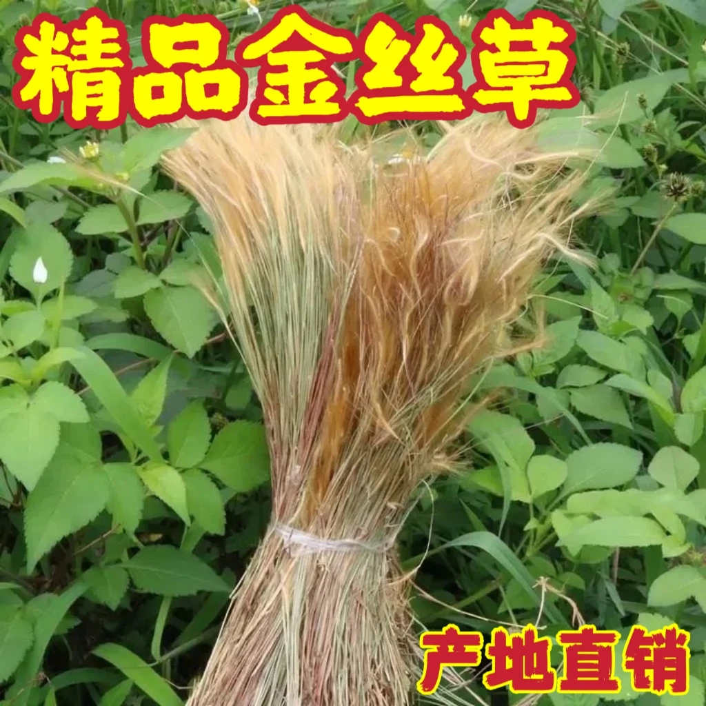 天然金丝草正品猫毛草晒干草药材健康养生