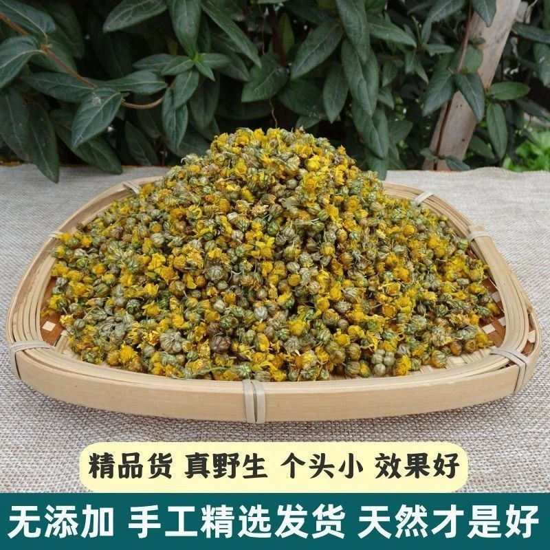 精品野生小菊花茶