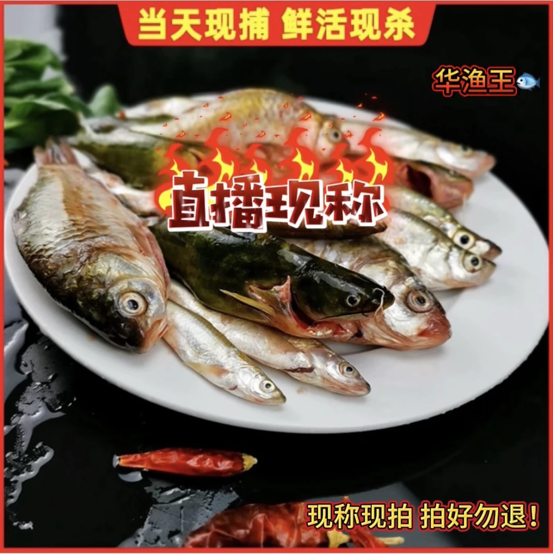 【1号改价链接】各种鱼类现称现挑，价格以直播间称重计算为准！