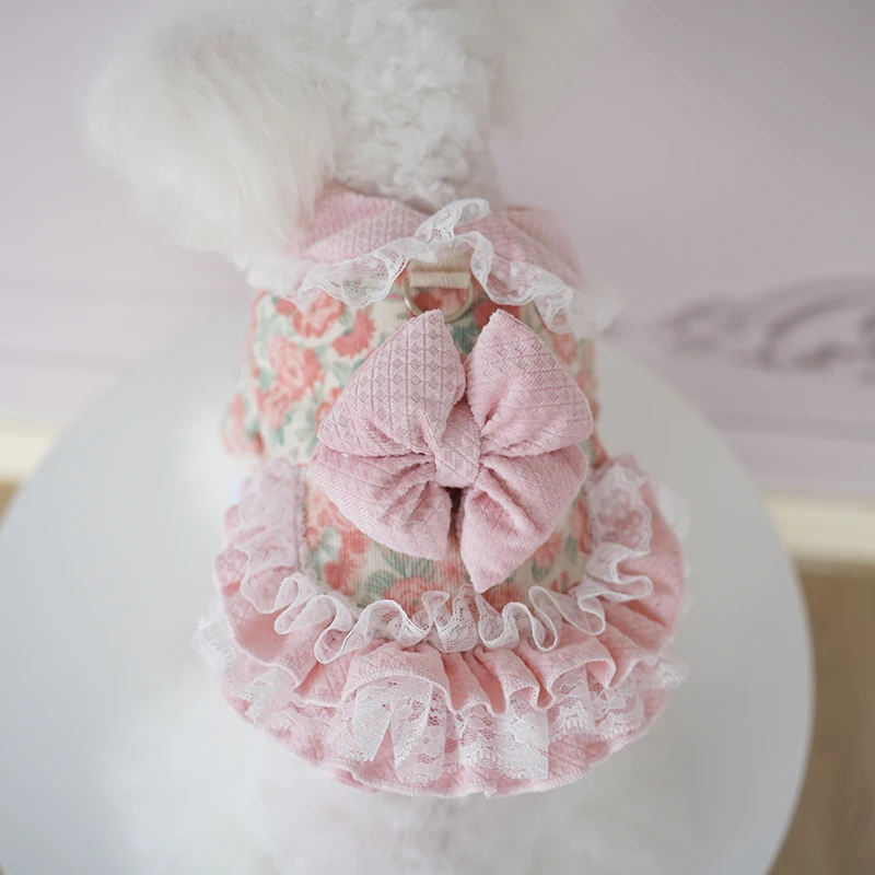 棒棒糖24年秋冬新款狗衣服猫咪碎花包裙洛丽塔中小型犬衣比熊裙