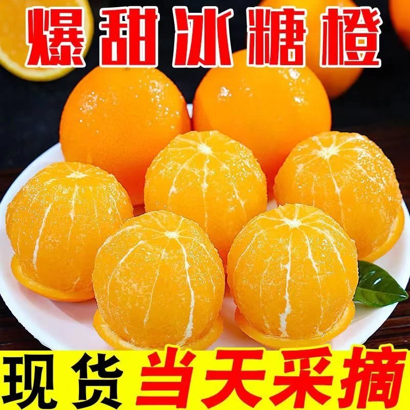 湖南麻阳冰糖橙新鲜孕妇水果橙子皮薄多汁现摘香甜脐橙5/9斤