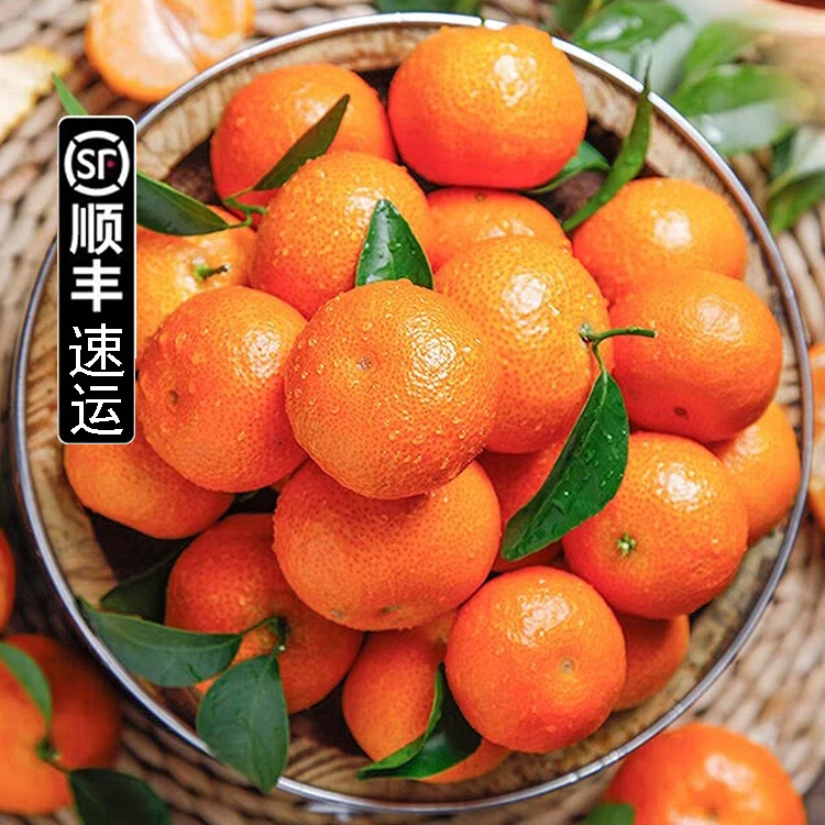 【发顺丰】广西沙糖橘5斤/9斤 新鲜采摘沙糖桔多汁味甜肉嫩无渣