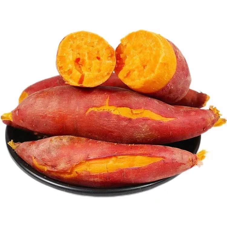 广西沙地西瓜红蜜薯 5/9斤装皮薄番薯红薯整箱新鲜饱满农产品