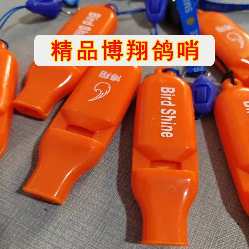 鸽子博翔归巢口哨