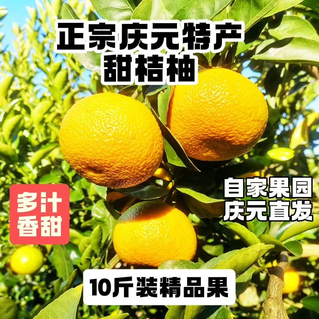 庆元特产甜桔柚果汁多香甜不打蜡不催熟保存时间长