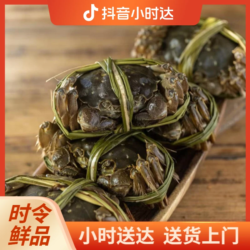 一物一拍（残公蟹）